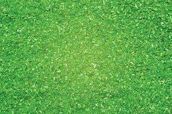 NOCH 8470 Materiał ściółki Runo leśne ciemnozielony