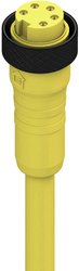 Złącze konfekcjonowane czujnika/aktuatora Lumberg Automation RK 50-877/10 M 4945, piny: 5, 10.00 m, 1 szt.