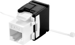 Moduł Keystone Renkforce CAT6, beznarzędziowy Moduł RJ45 CAT 6 Renkforce Keystone
