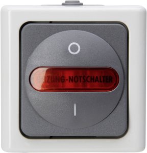 Wyłącznik bezpieczeństwa Komplet Kopp BlueElectric 562356009, szary