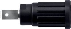 Schützinger SEPB 7089 Ni / SW Gniazdo wciskane bezpieczne 1 szt.