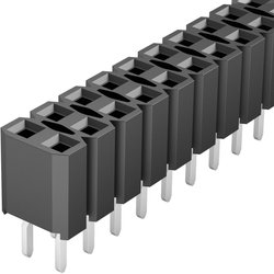 Gniazdo montażowe żeńskie Fischer Elektronik BL LP 2/ 72/Z , RM 2,54 2 X 36 , styki cyn