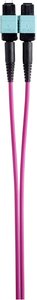 Kabel światłowodowy Renkforce RF-4299542, złącze męskie MPO, złącze żeńskie MPO, 1.00 m