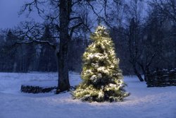 Oświetlenie bożonarodzeniowe Konstsmide 3864-100 ciepła biel