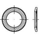 Podkładki z grzechotką  159354 8 mm 13 mm   cynkowany stal sprężynowa 250 szt.
