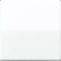 Jung AS591WW Klawisz centralny pozycja przycisku i pozycja środkowa biały alpejski Przycisk Jung AS591WW śnieżnobiały