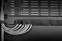 Renkforce 48,26 cm (19'') 1HE przepust kablowy z wkładką szczotkową RF-KDB-100C Listwa szczotkowa do szafy serwerowej Renkforce RF-KDB-100C RF-3429142 1 szt.