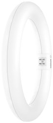 LED OSRAM 4099854042645 G10q 11 W = 22 W zimna biel