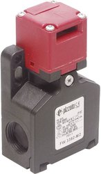 Przełącznik krańcowy Pizzato Elettrica FW 3492-M2