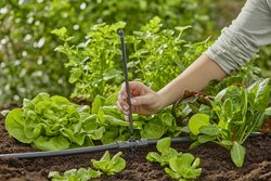 Rura przedłużająca Micro-Drip-System do rozpylaczy - zawartość: 5 sztuk Rura przedłużająca GARDENA 13326-20 1 szt.