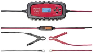 Prostownik automatyczny IWH 075900, 230 V, 6 V, 12 V