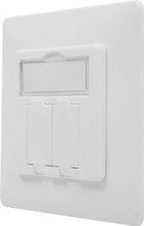 Gniazdo Professioanl DIGITUS pusta do modułów Keystone, 80x80 mm, 50x50 mm płytka centralna rama, w zestawie pokrowiec chroniący przed kurzem, Design kompatybilny, biały, niemiecki układ Akcesorium montażowe  Digitus DN-93831 Wkład