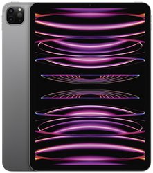 Apple iPad Pro 11 (4. Generation) WiFi 512 GB szary iPad 27.9 cm (11 cal)  Apple M2 iPadOS 16 2388 x 1668 Pixel