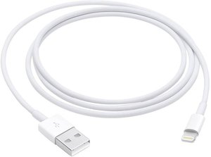 kabel Apple iPad/iPhone/iPod Apple  MXLY2ZM/A [1x złącze męskie Lightning - 1x złącze męskie USB-A 2.0] 1.00 m