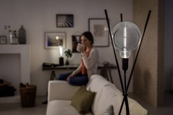 E-27  LED  6.5 W = 25 W  biały  Kształt owalny  regulacja natężenia oświetlenia Żarówka LED Philips Lighting 81506900 E-27 6.5 W = 25 W 270 lm biały 1 szt.