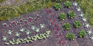 Warzywa i sałata BU w skali H0 Warzywa i sałata BU w skali H