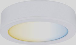 Clever Connect Spot Disc 1x2.1W 2700-6500K do. Biały 12V biały mat / plastik Oświetlenie szafki Paulmann CC Disc 99952   2.10 W biały