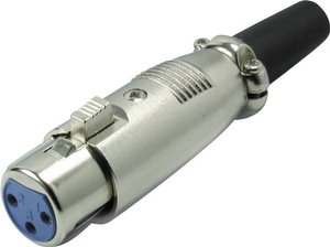 Złącze męskie XLR Kash 55020, CuZn (mosiądz), złącze, proste, 1 szt.