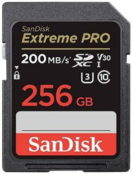 Karta pamięci SDXC SanDisk SDSDXXD-256G-GN4IN, 256 GB, Class 10 UHS-I, 200 MB/s / 90 MB/s