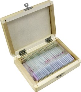 Bresser gotowe preparaty biologiczne: Zwierzęta Zestaw eksperymentalny Bresser Optik  5986000