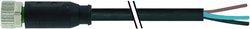 Złącze niekonfekcjonowane czujnika/aktuatora Murr Elektronik 7000-08041-6100050, piny: 3, 0.50 m, 1 szt.