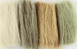 Trawa polna, kolor złotożółty