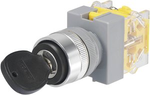 Przełącznik kluczykowy 250 V/AC 5 A 1 x wył/wł 1 x 90 ° TRU COMPONENTS 704480 IP40 1 szt.