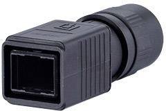 Złącze męskie RJ45 Metz Connect 1401045002KE, RJ45, 1 szt.