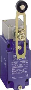 Wyłącznik krańcowy Schneider Electric XCKJ10541H29 XCKJ10541H29, IP66, 1 szt.