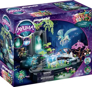 Playmobil 70800 1 szt.