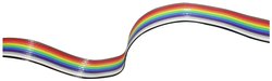 Kabel płaski, taśmowy econ connect 28AWG10F 28AWG10F, 300 V, 10 x, 30.5 m