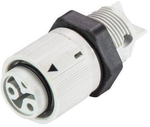 Złącze męskie okrągłe Wieland RST16I3/2S B1 M02 GL 46.031.5054.0, styki:2, 250 V, 16 A, 1 szt.