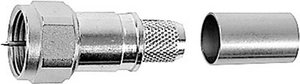 Złacze F Telegärtner J01600A0009 J01600A0009 złącze męskie proste 75 Ω 1 szt.