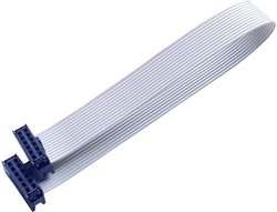 Kabel płaski, taśmowy BKL Electronic 10120669, 12 x, 1 szt.