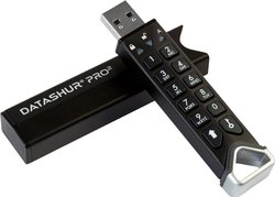 Pendrive USB iStorage IS-FL-DP2-256-64, 1 szt.
