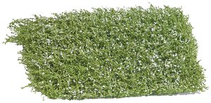 Mata krzewiasta w białe kwiaty. Rozmiar: 120*80mm Wysokość: 35mm Busch 3595 Krzew Kwitnące 35 mm biały