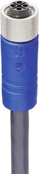 Złącze konfekcjonowane czujnika/aktuatora Lumberg Automation RKT 4S-703/5 M 934849002, piny: 3+PE, 5.00 m, 1 szt.