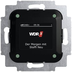 Radio Płytka przycisku Busch-Jaeger 2CKA008200A0275