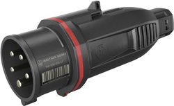 Złacze męskie CEE Walther Werke FW210506SK 16 A 400 V