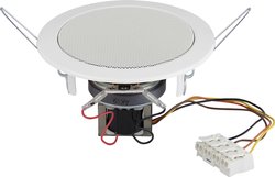 Głośnik sufitowy Visaton DL 10 (RAL 9005) - 8 Ohm, 8 Ω, N/A