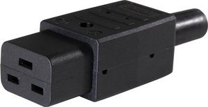 Złącze męskie IEC AS Schwabe 62085, styki: 2, 230 V, 10 A, 1 szt.