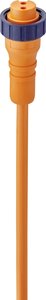 Złącze konfekcjonowane czujnika/aktuatora Lumberg Automation RK 20-03/10 M 12839, piny: 2, 10.00 m, 1 szt.