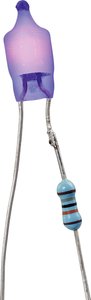 Żarówka neonowa TRU COMPONENTS 1590356 1 szt.