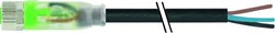 Złącze niekonfekcjonowane czujnika/aktuatora Murr Elektronik 7000-08111-6301000, 10.00 m, 1 szt.