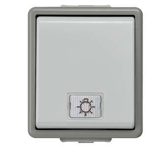 DELTA powierzchnia IP44, przycisk AP ciemnoszary/jasnoszary, 10A 250V, 66x 75mm z kloszem szklanym Siemens Osprzęt elektroinstalacyjny   Przycisk Delta szary 5TD4705