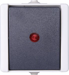 Przełącznik z kontrolką Komplet Kopp proAQA 541656003, szary