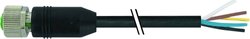 Złącze niekonfekcjonowane czujnika/aktuatora Murr Elektronik 7000-19041-7051000, 10.00 m, 1 szt.