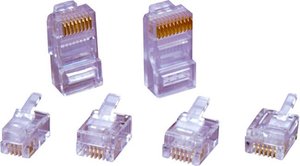 Złącze męskie RJ45 encitech RJ126P6CR 6510-0104-04, RJ12, piny:6P6C, 1 szt.