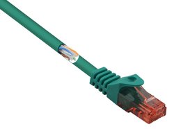 Kabel LAN Basetech BT-1719387, 1 szt., RJ45, CAT 6, U/UTP, 15.00 m, zielony