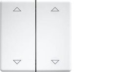 Grawerowane laserowo podwójne klawisze do przycisków i przełączników 55 design i E-Design55 czysta biel DW-FT55-rw+2P Eltako  Podwójny przełącznik kołyskowy